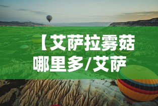 【艾萨拉雾菇哪里多/艾萨拉雾菇采集路线】