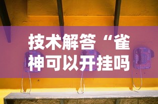 技术解答“雀神可以开挂吗”太坑了原来有挂