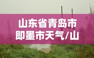 山东省青岛市即墨市天气/山东省青岛市即墨市天气情况 山东省青岛市即墨市天气/山东省青岛市即墨市天气情况