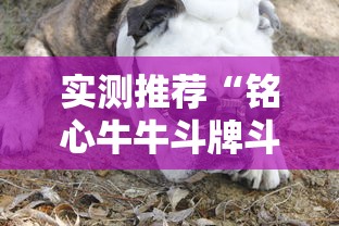 实测推荐“铭心牛牛斗牌斗牛中心怎么控制输赢	”附开挂详细步骤