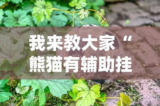 我来教大家“熊猫有辅助挂吗”真可以装挂