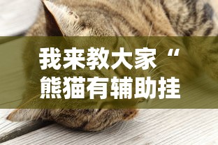 我来教大家“熊猫有辅助挂吗”真可以装挂