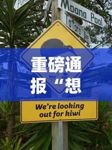 重磅通报“想游中心五有没有挂呢”的确有挂
