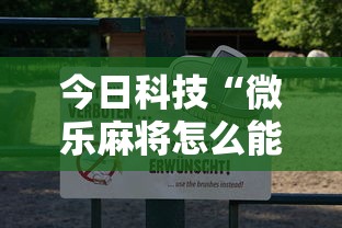 今日科技“微乐麻将怎么能用开挂（确实有挂）