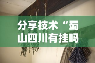 分享技术“蜀山四川有挂吗其实是有挂”分享详细开挂教程
