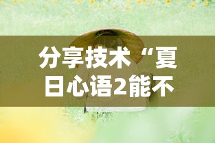 分享技术“夏日心语2能不能开挂”的确有挂