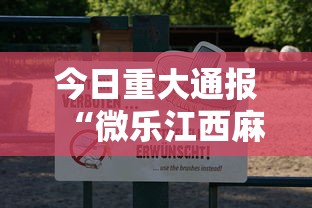 今日重大通报“微乐江西麻将开挂安全吗”详细分享步骤