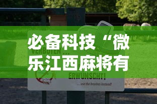 必备科技“微乐江西麻将有没有起手好牌挂”的确有挂