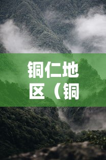 铜仁地区（铜仁地区大镇排名）