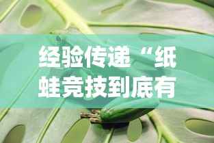 经验传递“纸蛙竞技到底有没有透视挂吗”[确实真的有挂]