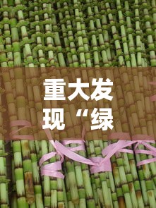 重大发现“绿竹真的有挂吗”必胜开挂神器