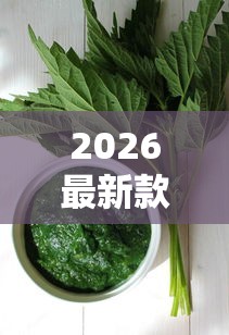 2026最新款“新蜜瓜能不能开挂”开挂方法