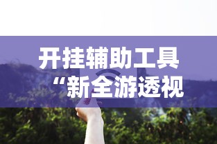 开挂辅助工具“新全游透视专用神器”开挂步骤方法