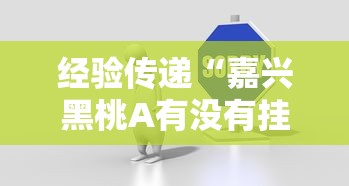 经验传递“嘉兴黑桃A有没有挂呢可以辅助