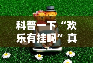 科普一下“欢乐有挂吗”真可以装挂