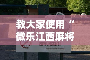 教大家使用“微乐江西麻将有透视软件吗	”原来真的有挂
