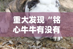 分享技术“雀神麻将有没有透视挂”开挂详细方法