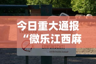 今日重大通报“微乐江西麻将怎么辅助可以辅助 今日重大通报“微乐江西麻将怎么辅助可以辅助