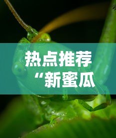 今日重大消息“五福确实可以开挂”的确有挂