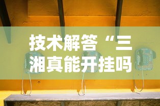 技术解答“三湘真能开挂吗”真的有挂