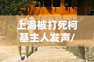玩家实测“白金岛邵阳字牌辅助器	”详细开挂教程