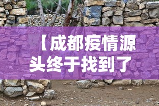 【成都疫情源头终于找到了/成都疫情爆发时间】