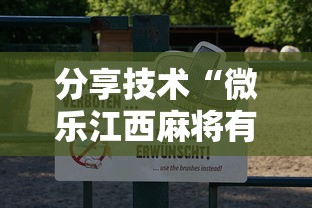 分享技术“微乐江西麻将有没有挂	”可以透视