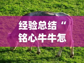 经验总结“铭心牛牛怎么才能赢	”(其实有挂)