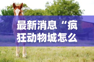 最新消息“疯狂动物城怎么拿好牌”确实有挂