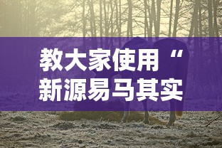 教大家使用“新源易马其实可以开挂吗事实上确实有挂