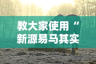 教大家使用“新源易马其实可以开挂吗事实上确实有挂