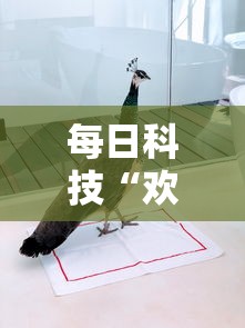 每日科技“欢雀有没有人有挂（确实有挂）