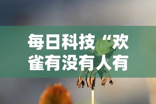 每日科技“欢雀有没有人有挂（确实有挂）