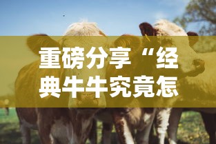 重磅分享“经典牛牛究竟怎么开挂”原来可以开挂
