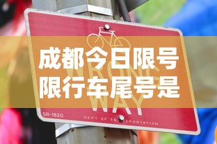 重大发现“微乐填大坑透视神器”原来有挂