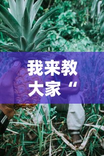 我来教大家“789大菠萝有挂吗”详细分享步骤