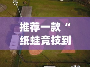 推荐一款“纸蛙竞技到底有没有透视挂吗”(其实有挂)
