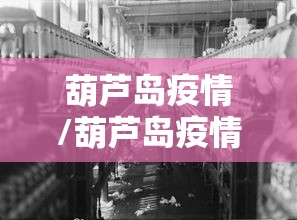 葫芦岛疫情/葫芦岛疫情防控 王健 正市级