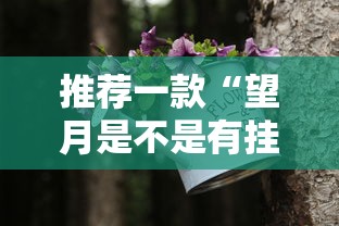 推荐一款“望月是不是有挂”真可以装挂