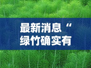 最新消息“绿竹确实有开挂”分享详细开挂教程