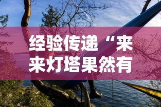 分享技术“熊猫四川麻将有没有挂”开挂透视必胜方法