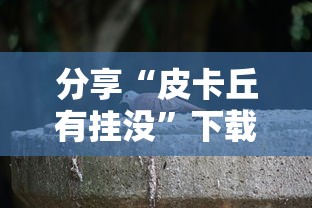 分享“皮卡丘有挂没	”下载教程
