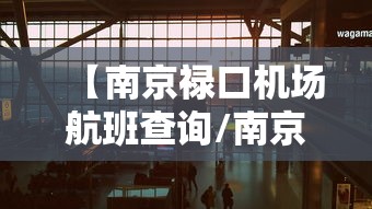 【南京禄口机场航班查询/南京禄口机场航班实况查询】