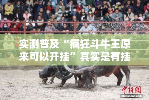 实测普及“疯狂斗牛王原来可以开挂	”其实是有挂