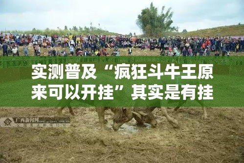 实测普及“疯狂斗牛王原来可以开挂”其实是有挂