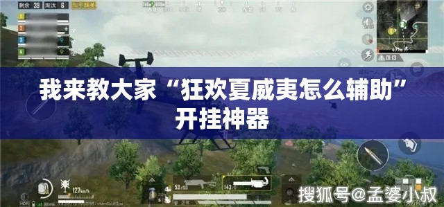 我来教大家“狂欢夏威夷怎么辅助	”开挂神器