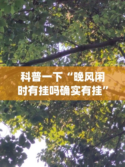 科普一下“晚风闲时有挂吗确实有挂”(确实有挂)