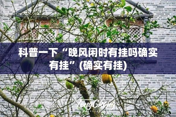 科普一下“晚风闲时有挂吗确实有挂	”(确实有挂)