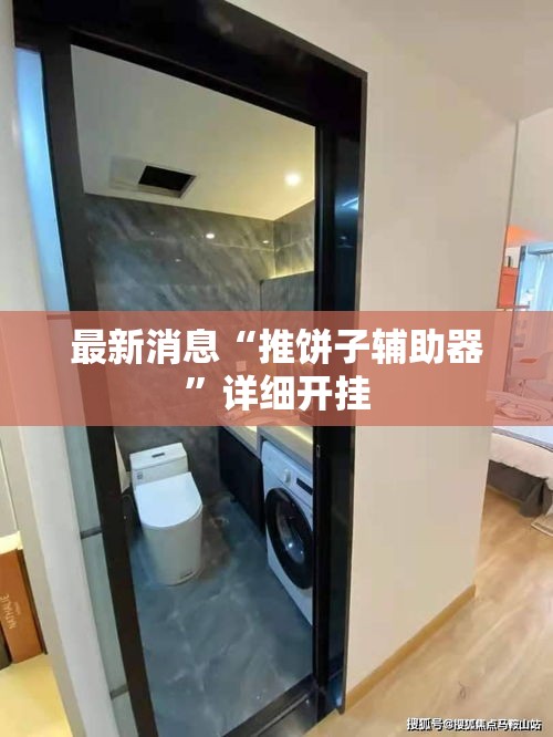 最新消息“推饼子辅助器”详细开挂