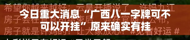 今日重大消息“广西八一字牌可不可以开挂”原来确实有挂